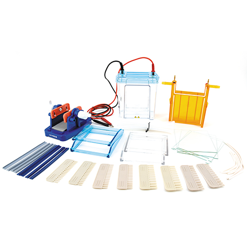 北京六一雙垂直電泳儀電泳槽(中號)DYCZ-24EN蛋白凝膠電泳及雙向電泳