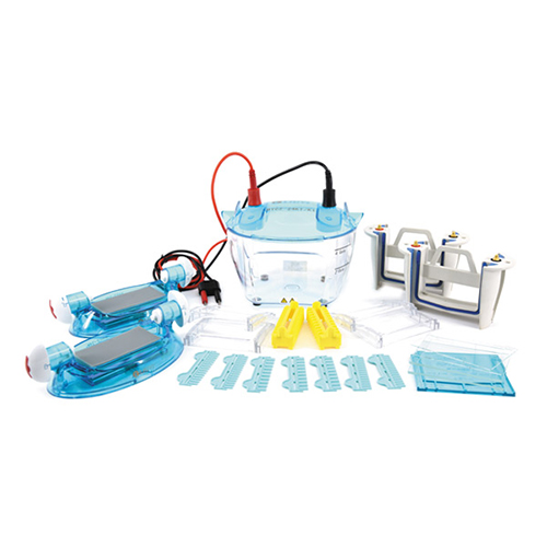 DYCZ-24KF 四板垂直電泳儀