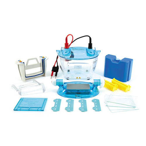 北京六一DYCZ-24KS型雙板垂直電泳儀【標準版】