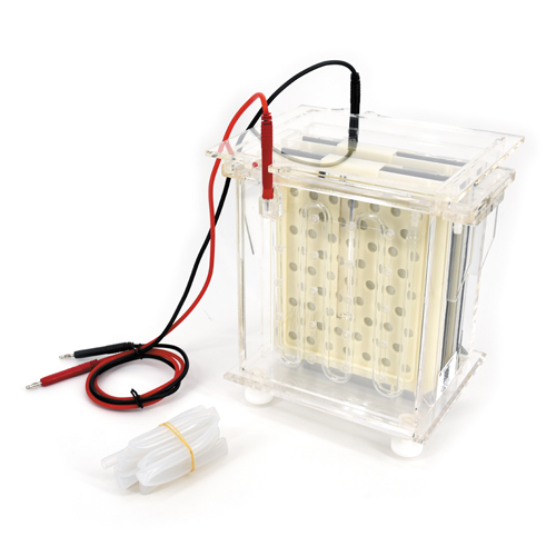 北京六一DYCZ-40B轉移電泳儀DYCZ-40B電泳槽(小號)