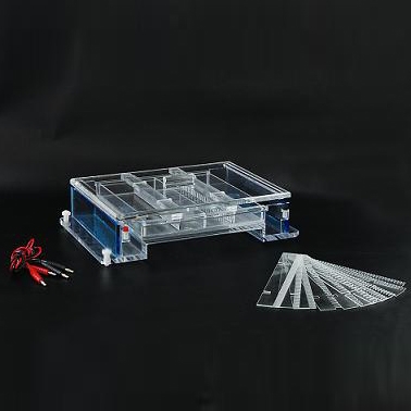 北京六一DYCP-34A瓊脂糖水平電泳儀電泳槽 核酸電泳儀(大號)
